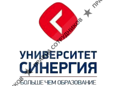 Холдинг Синергия